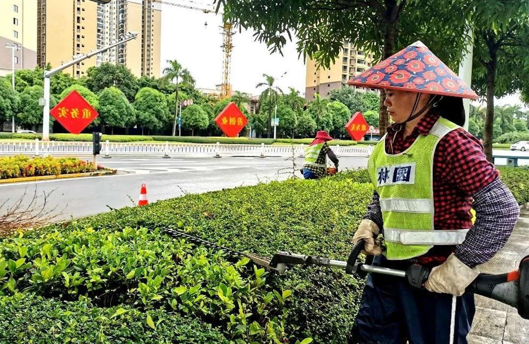 园林绿化养护灌木修剪